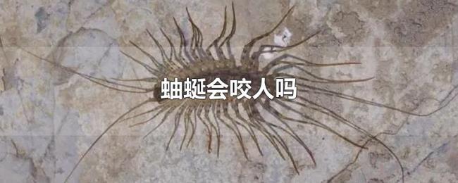 蚰蜒会咬人吗