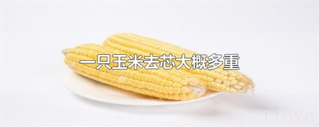 一只玉米去芯大概多重