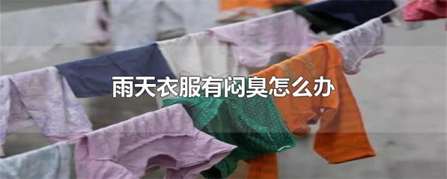 雨天衣服有闷臭怎么办 雨天衣服有闷臭怎么办