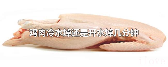 鸡肉冷水焯还是开水焯几分钟