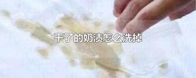 干了的奶渍怎么洗掉 干了的奶渍怎么洗掉