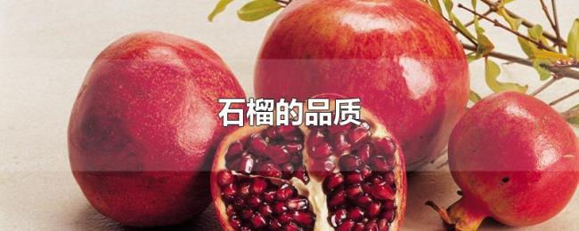 石榴的品质 石榴的品质