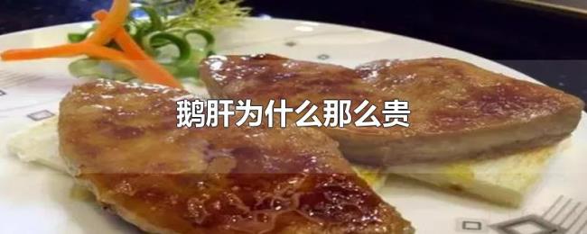 鹅肝为什么那么贵 鹅肝为什么那么贵