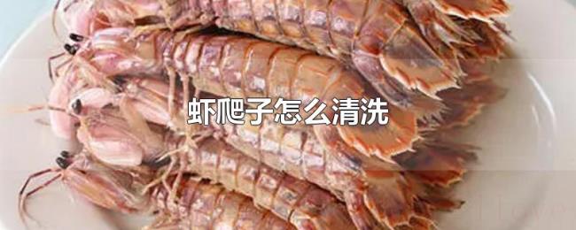 虾爬子怎么清洗 虾爬子怎么清洗
