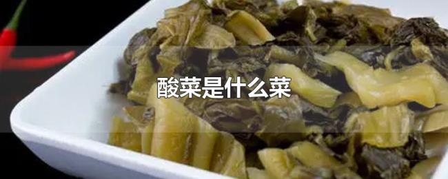 酸菜是什么菜