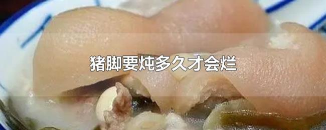 猪脚要炖多久才会烂