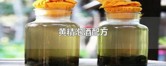 黄精泡酒配方