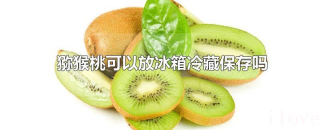 猕猴桃可以放冰箱冷藏保存吗 猕猴桃可以放冰箱冷藏保存吗