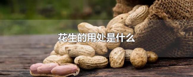花生的用处是什么 花生的用处是什么