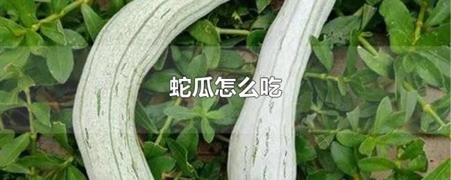 蛇瓜怎么吃 蛇瓜怎么吃