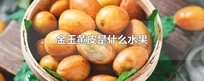 金玉黄皮是什么水果