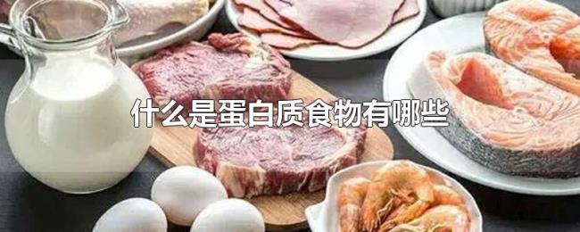 什么是蛋白质食物有哪些