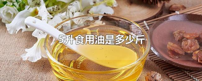 5升食用油是多少斤 5升食用油是多少斤