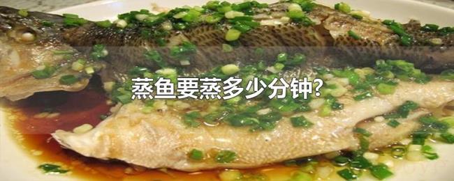 蒸鱼要蒸多少分钟? 蒸鱼要蒸多少分钟?