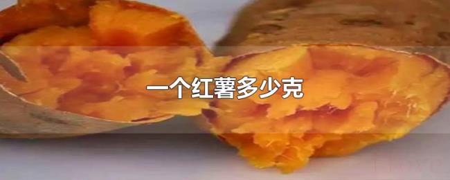 一个红薯多少克 一个红薯多少克