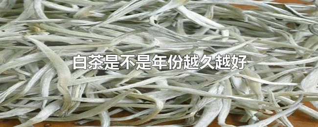 白茶是不是年份越久越好