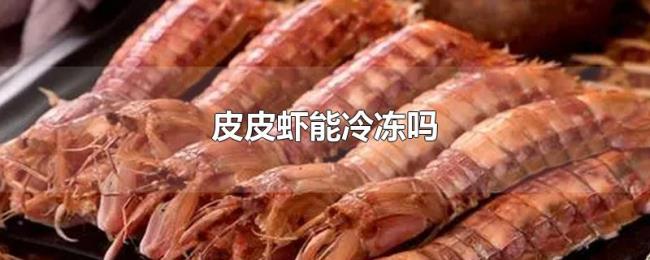 皮皮虾能冷冻吗