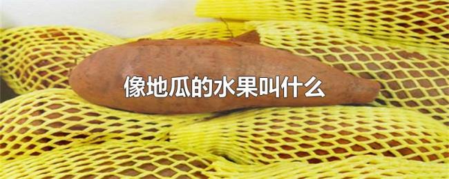 像地瓜的水果叫什么