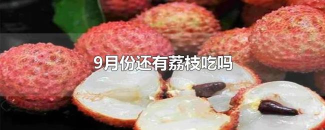 9月份还有荔枝吃吗