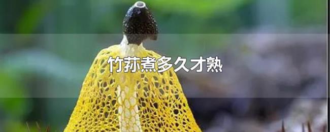 竹荪煮多久才熟 竹荪煮多久才熟