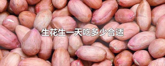 生花生一天吃多少合适
