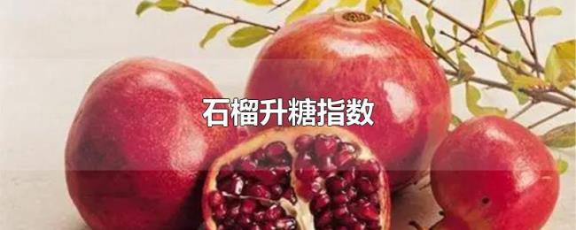 石榴升糖指数