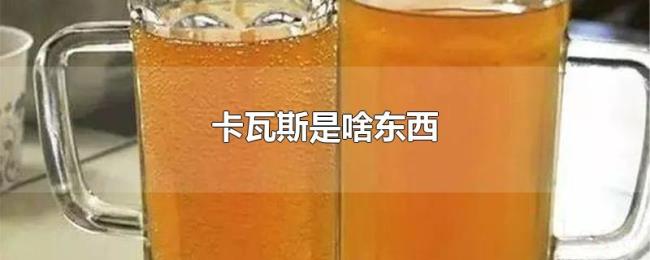 卡瓦斯是啥东西