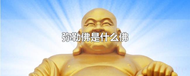 弥勒佛是什么佛