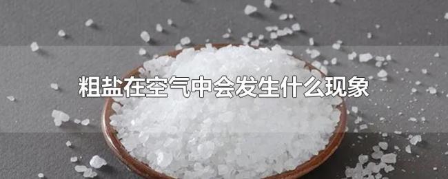 粗盐在空气中会发生什么现象