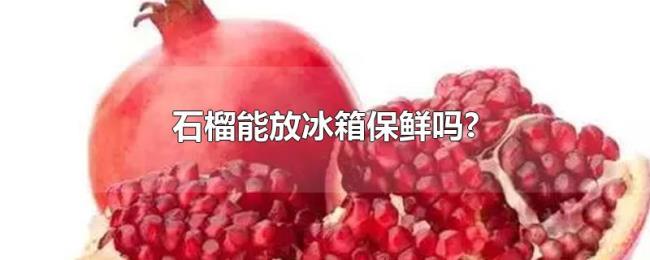 石榴能放冰箱保鲜吗? 石榴能放冰箱保鲜吗?