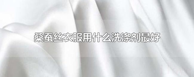 桑蚕丝衣服用什么洗涤剂最好 桑蚕丝衣服用什么洗涤剂最好