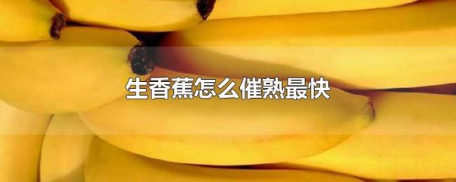 生香蕉怎么催熟最快 生香蕉怎么催熟最快