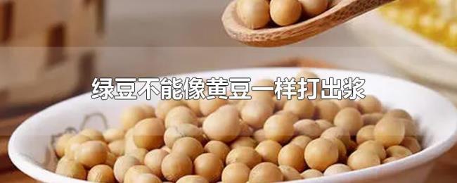 绿豆不能像黄豆一样打出浆