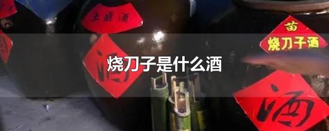 烧刀子是什么酒 烧刀子是什么酒