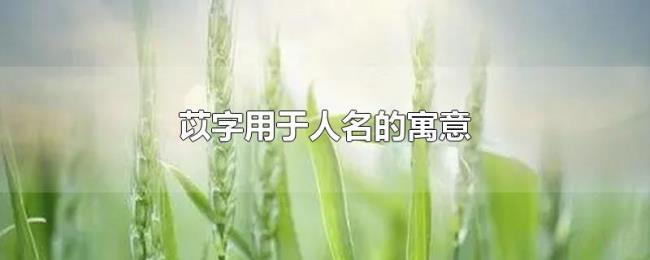 苡字用于人名的寓意