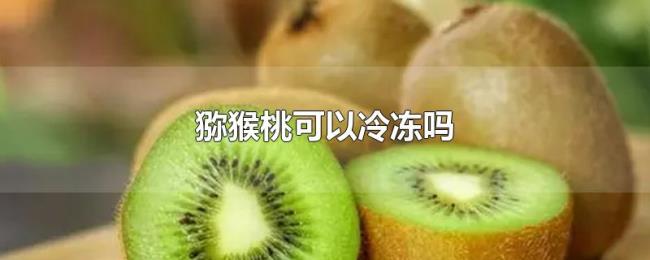 猕猴桃可以冷冻吗 猕猴桃可以冷冻吗