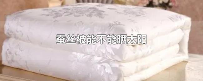 蚕丝被能不能晒太阳 蚕丝被能不能晒太阳