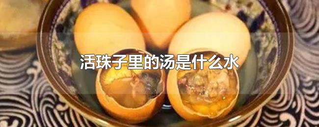 活珠子里的汤是什么水 活珠子里的汤是什么水