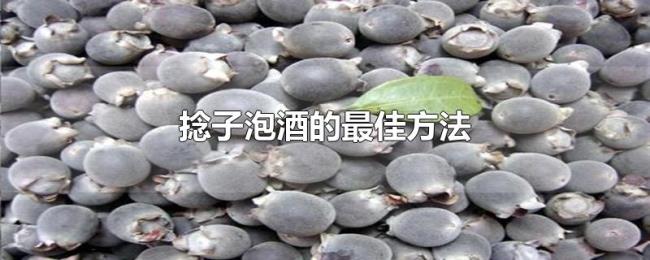 捻子泡酒的最佳方法 捻子泡酒的最佳方法