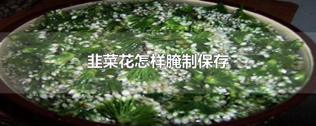 韭菜花怎样腌制保存 韭菜花怎样腌制保存