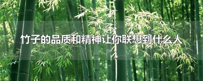 竹子的品质和精神让你联想到什么人