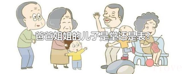 爸爸姐姐的儿子是堂还是表?