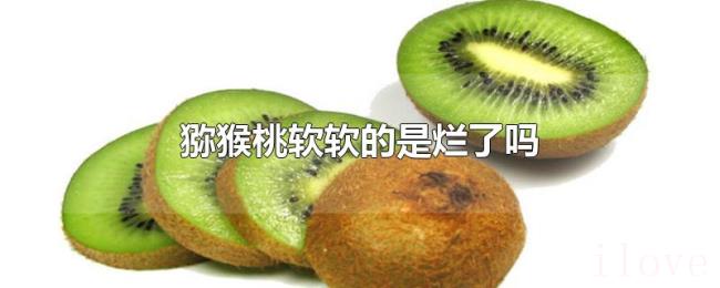 猕猴桃软软的是烂了吗 猕猴桃软软的是烂了吗