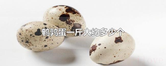 鹌鹑蛋一斤大约多少个