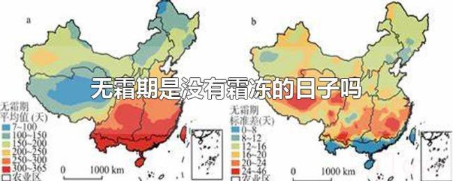 无霜期是没有霜冻的日子吗