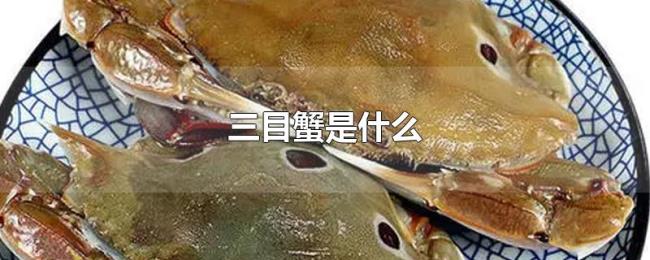 三目蟹是什么 三目蟹是什么