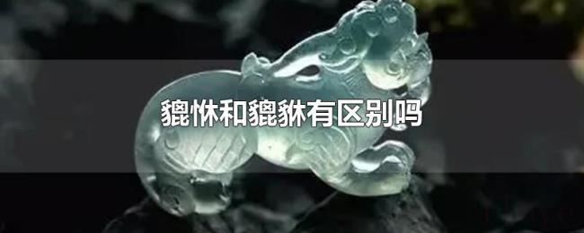 貔恘和貔貅有区别吗