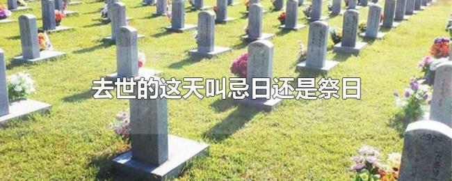 去世的这天叫忌日还是祭日 去世的这天叫忌日还是祭日