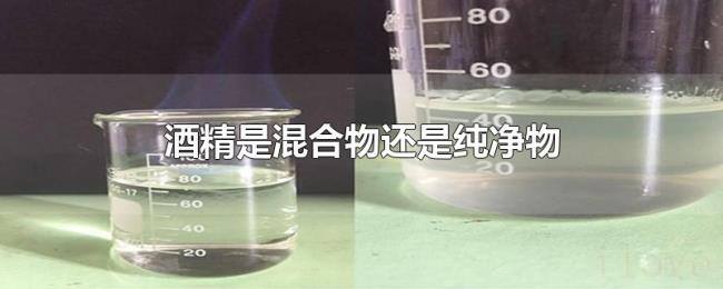 酒精是混合物还是纯净物 酒精是混合物还是纯净物