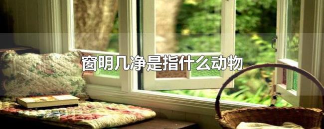 窗明几净是指什么动物 窗明几净是指什么动物